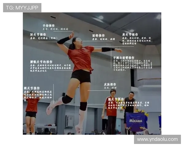 成都排球队的成长之路：一段激情与拼搏交织的排球纪实故事