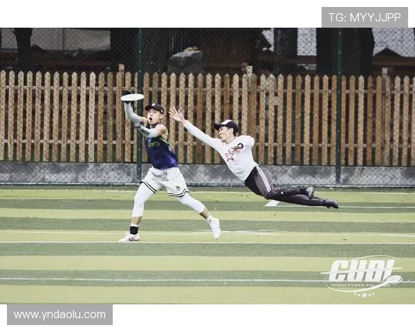 飞盘热潮下的杭州飞盘队团队协作引发的争议与思考